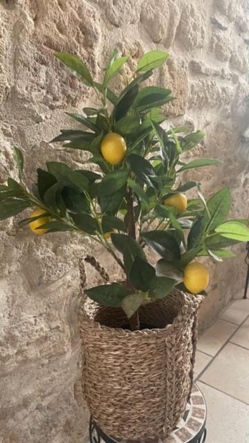 דירות בוקר Le Grand Rouget מראה חיצוני תמונה